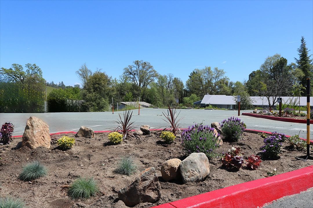 Jackson Hills gallery photo 4