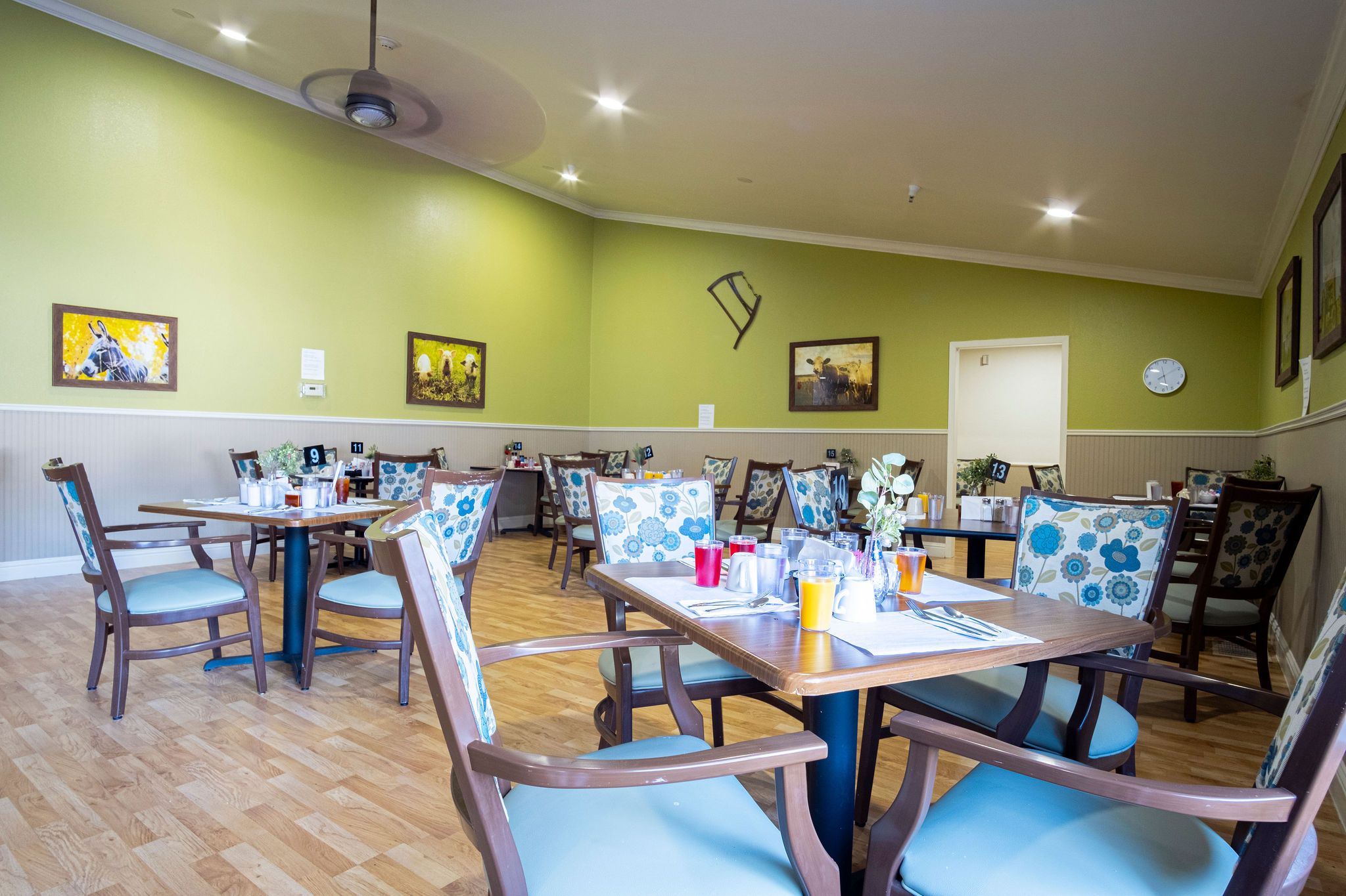 Jackson Hills gallery photo 49